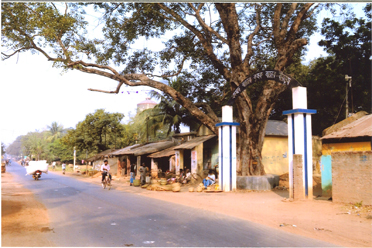 Entrance,Md. Bazar Krishak Bazar